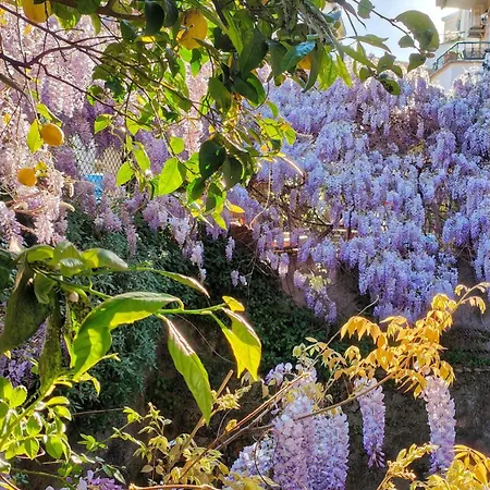 Pensionat Il Vittoriano 4*